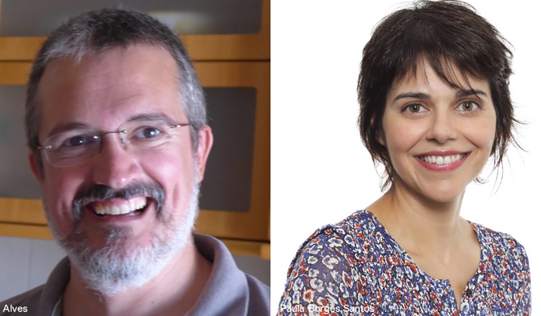 Investigadores do IHC-NOVA FCSH premiados por produção científica internacional