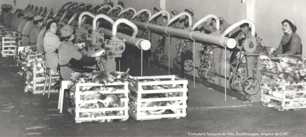 Fotografia histórica de funcionárias da Cortadoria Nacional, em São João da Madeira
