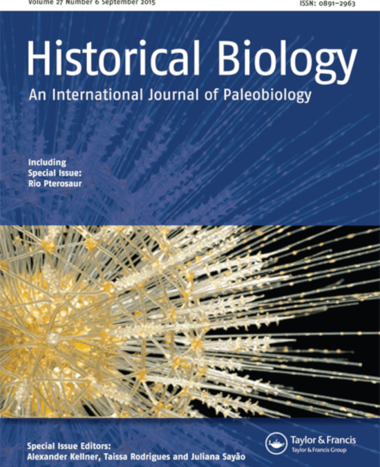 The oldest turtle from Portugal