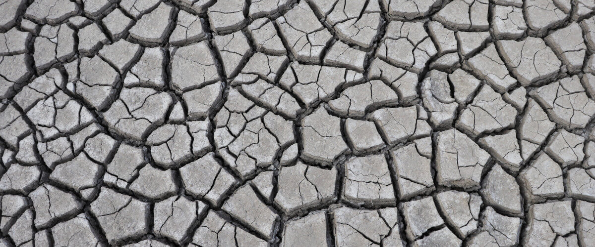 Fotografia de terra seca e estalada devido à seca