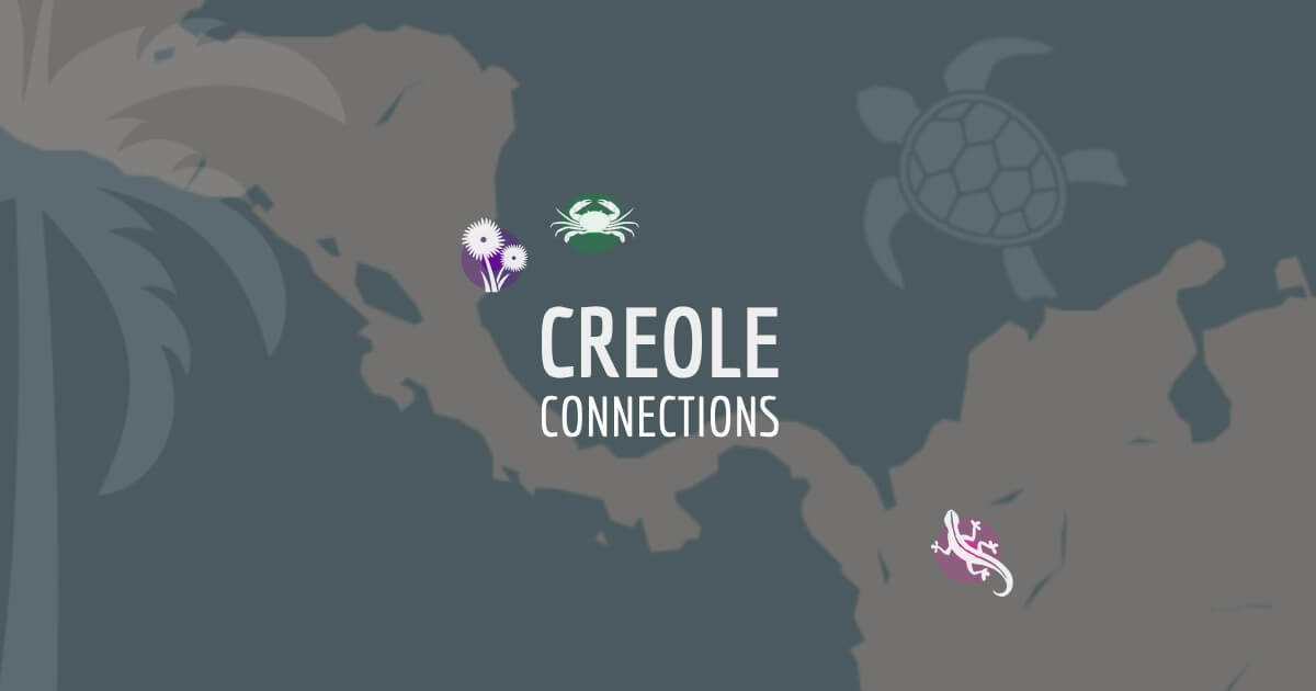 Aspecto do site Creole Connections, onde se vê um mapa da zona das Caraíbas e alguns desenhos de animais, como um caranguejo, uma tartaruga e uma salamandra.