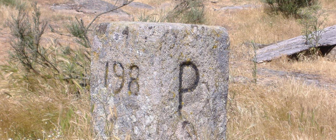 Fotografia de um marco de granito, com o número 198 e a letra P inscritos em dois dos seus lados; o marco está rodeado de erva seca e alguns penedos graníticos.