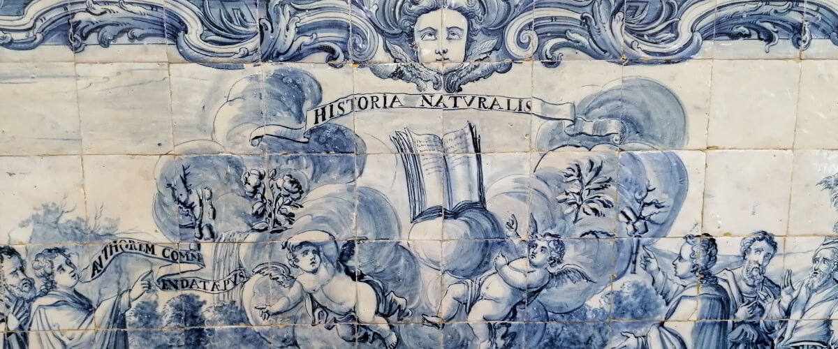 Fotografia de um painel de azulejos do Colégio Espírito Santo da Universidade de Évora. O painel mostra alguns anjos entre nuvens e um livro aberto. Por cima, lê-se “Historia Naturalis”.